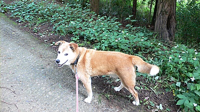 1030368f.jpg