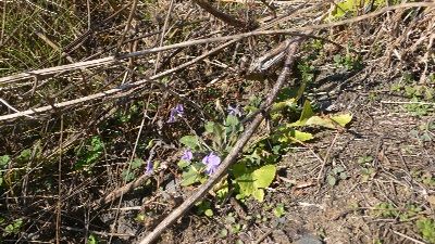 P1290675_resize1