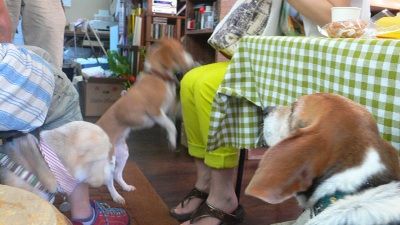 P1280327_resize1