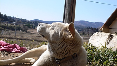 318280c0.jpg