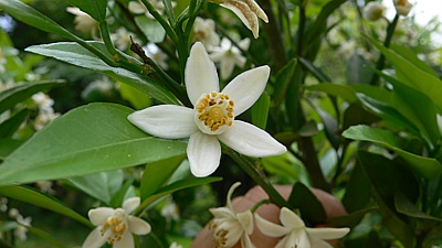 35c792c0.jpg