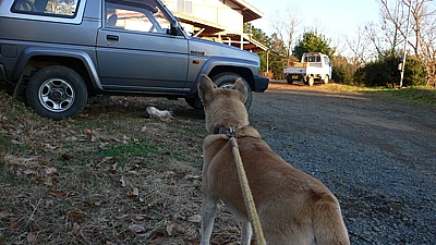 3cf06d23.jpg
