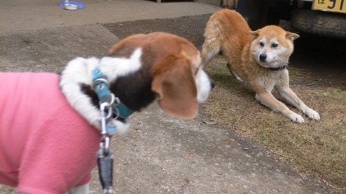 2013-03-31 01:07:06 写真9
