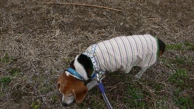 P1300352_resize1