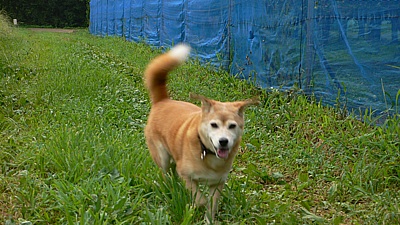 5293f978.jpg