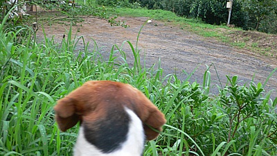 5727e335.jpg