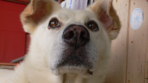 2012-09-27 21:11:32 写真8