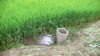 5b871140.jpg