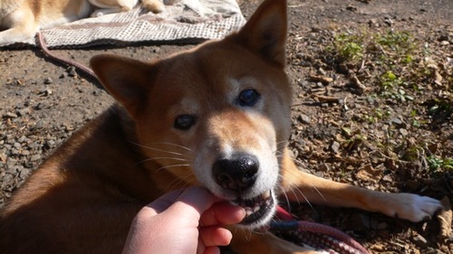 2012-12-09 18:53:21 写真4