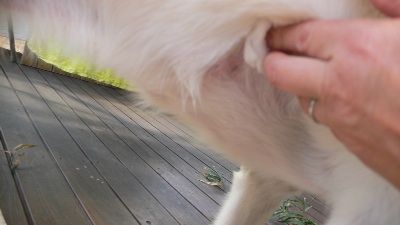 P1280998_resize1