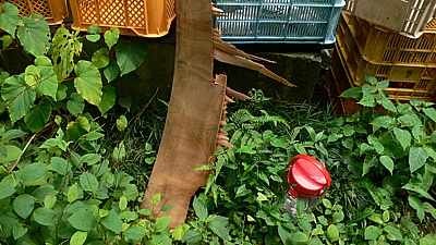 6a2632c4.jpg