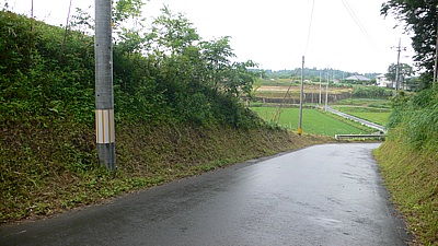 6de0b284.jpg
