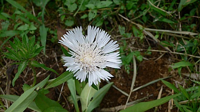 6e6870c3.jpg