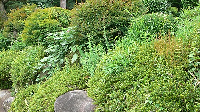 737d0367.jpg