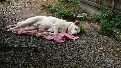 77f4e516.jpg
