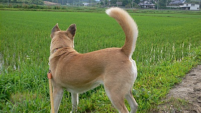 8a1fd925.jpg