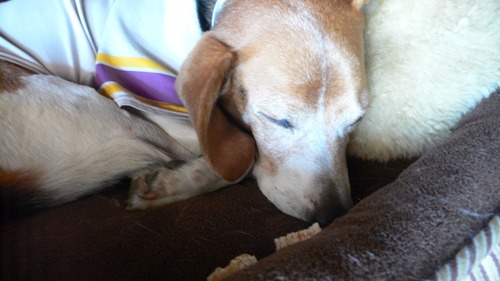 2012-10-21 22:10:45 写真4
