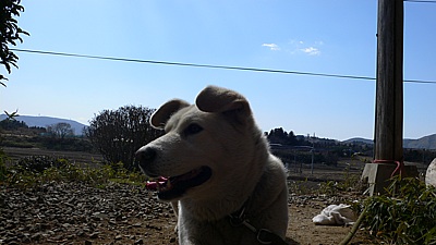 92daf891.jpg