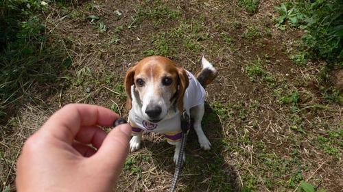 2012-09-27 21:11:32 写真4