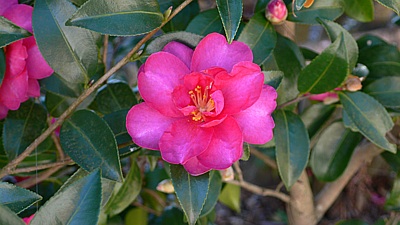 9f39278f.jpg