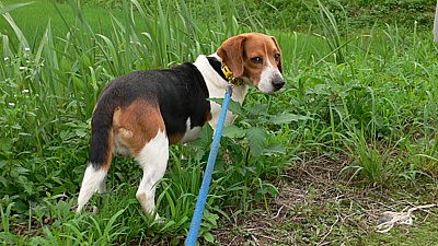 a0f75df6.jpg