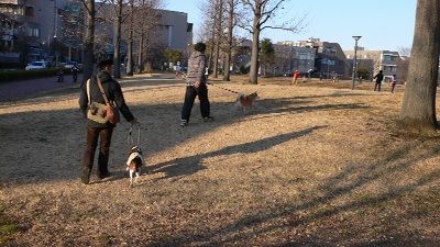 P1290924_resize1