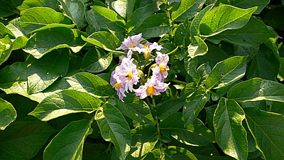 a45988b5.jpg