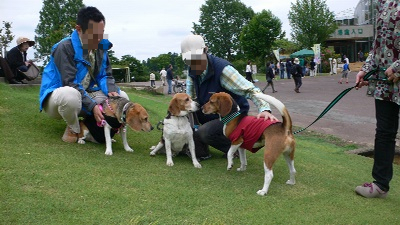 P1160625_resize1