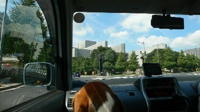 P1170908_resize1