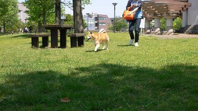P1300639_resize1
