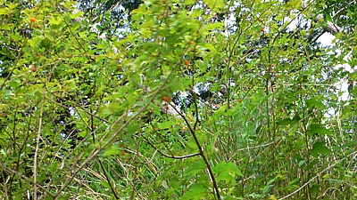b25376b7.jpg