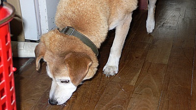 bcb00ac7.jpg