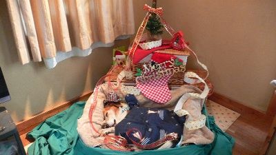 P1310710_resize1