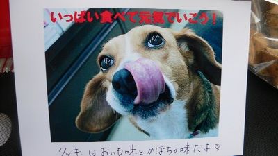 P1200436_resize1