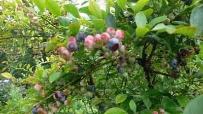 P1220448_resize1