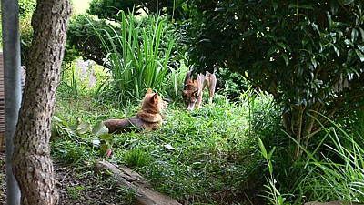 d120785b.jpg