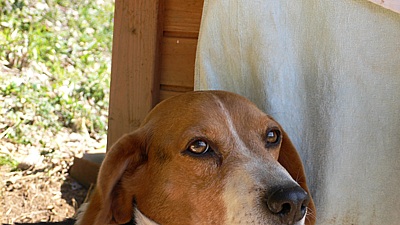 d40bd009.jpg