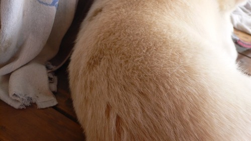 2012-09-27 21:11:32 写真7