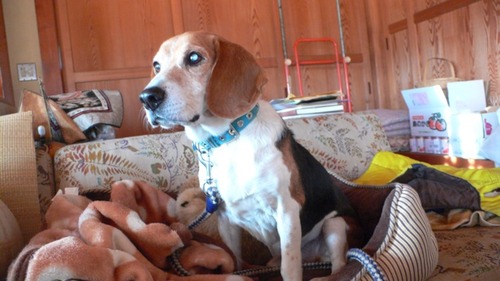 2012-12-09 18:53:21 写真2