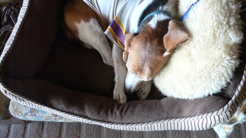 2012-10-21 22:10:45 写真6