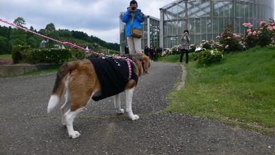 P1160615_resize1
