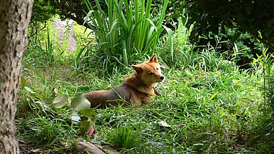 e0311b31.jpg