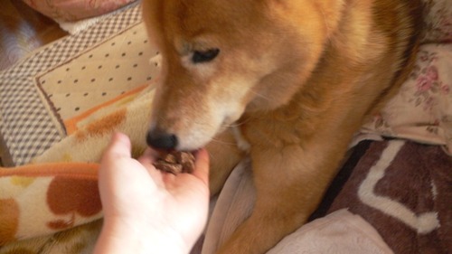 2013-04-14 17:44:07 写真3