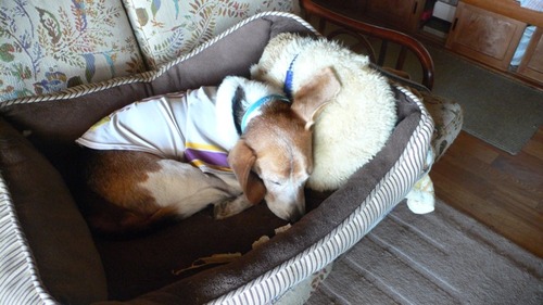 2012-10-21 22:10:45 写真5