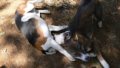 e3f843c0.jpg