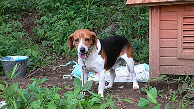 e7f553b3.jpg