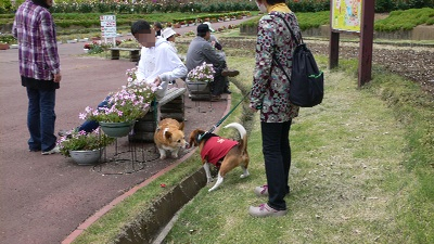 P1160676_resize1
