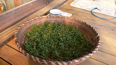 f8840b07.jpg