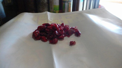 P1160288_resize1