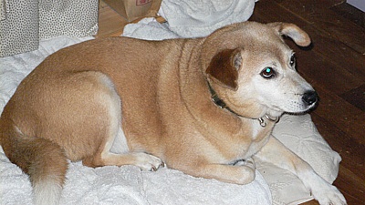 f9fa0210.jpg